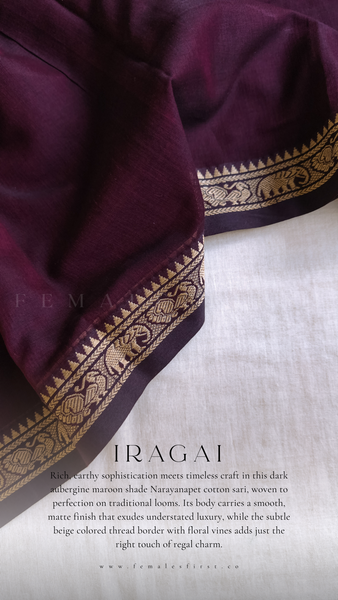 IRAGAI | Narayanapet Cotton sari in Dark Aubergine Maroon