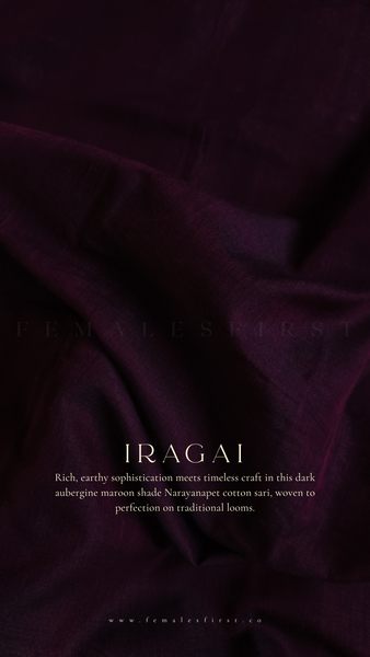 IRAGAI | Narayanapet Cotton sari in Dark Aubergine Maroon