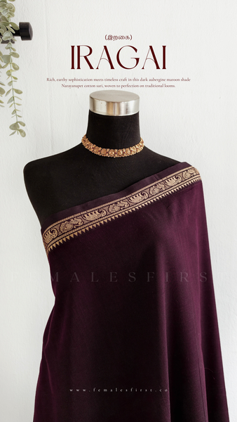 IRAGAI | Narayanapet Cotton sari in Dark Aubergine Maroon