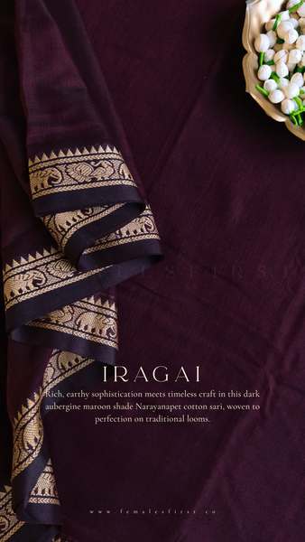 IRAGAI | Narayanapet Cotton sari in Dark Aubergine Maroon