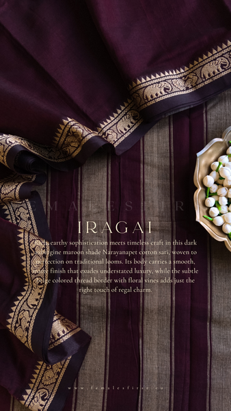 IRAGAI | Narayanapet Cotton sari in Dark Aubergine Maroon