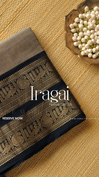 IRAGAI : Kanchi Cotton Sari in Dark Grey & Black