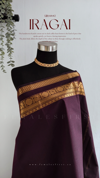 IRAGAI : Kanchi Cotton Sari in Dark Coffee Brown & Gold