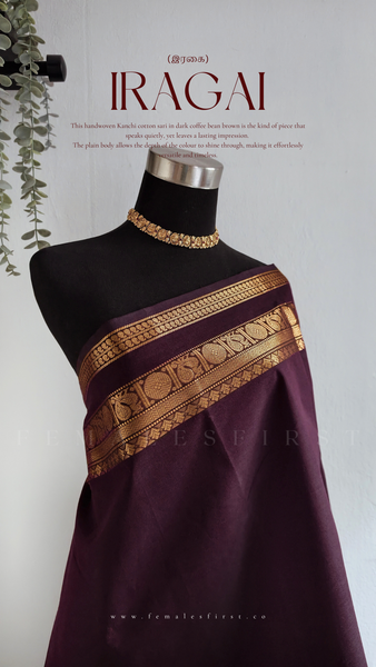 IRAGAI : Kanchi Cotton Sari in Dark Coffee Brown & Gold