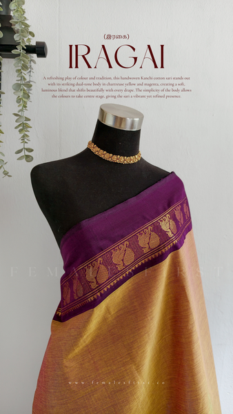 IRAGAI : Kanchi Cotton Sari in Dual tone Chartreuse yellow & Magenta
