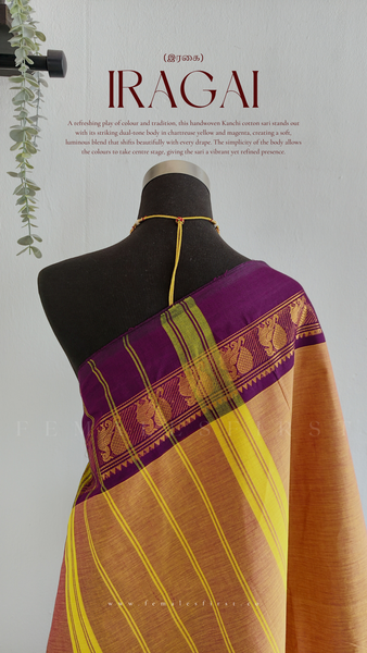 IRAGAI : Kanchi Cotton Sari in Dual tone Chartreuse yellow & Magenta