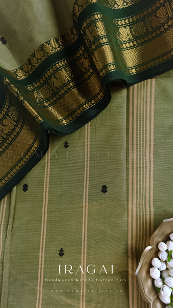IRAGAI : Kanchi Cotton Sari in Pista & Dark Green