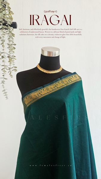 IRAGAI | Kanchi Cotton Sari in Dark Teal Green & Gold