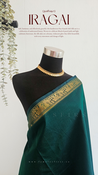 IRAGAI | Kanchi Cotton Sari in Dark Teal Green & Gold