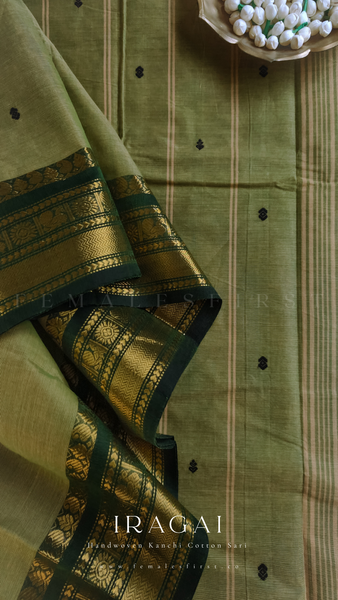 IRAGAI : Kanchi Cotton Sari in Pista & Dark Green