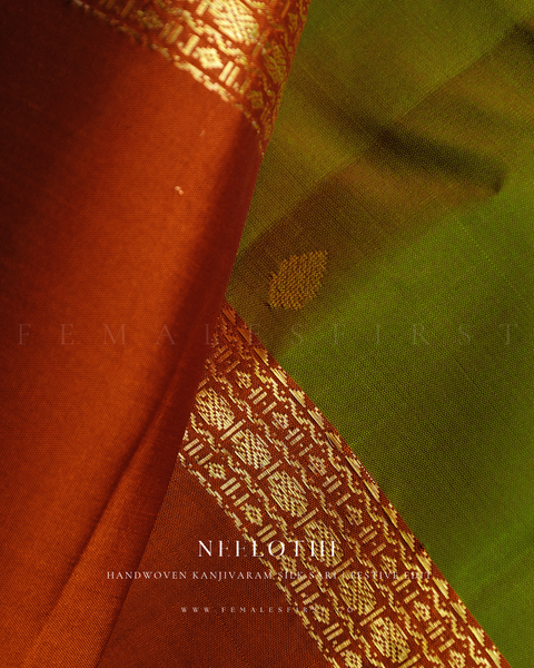 NEELOTHI