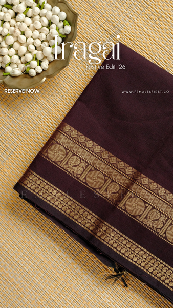 IRAGAI : Kanchi Cotton Sari in Dark Coffee Brown & Gold