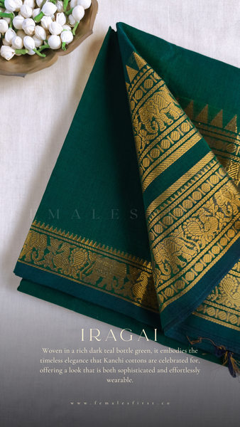 IRAGAI | Kanchi Cotton Sari in Dark Teal Green & Gold