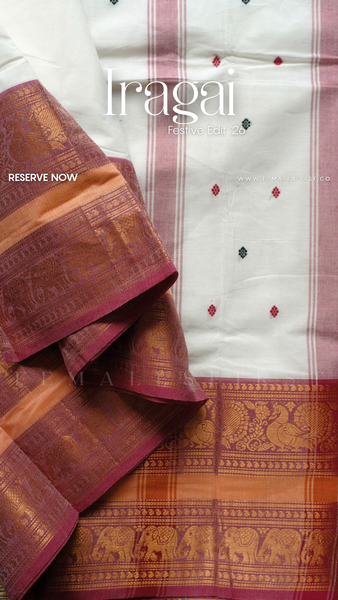 IRAGAI : Kanchi Cotton Sari in White & Pastel Pink