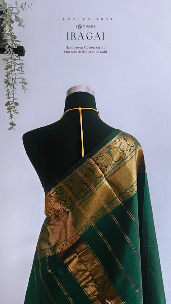 IRAGAI - Large border South Cotton Temple Sari in Dark Green & Gold