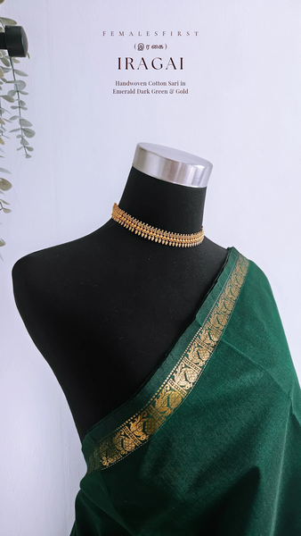 IRAGAI - Large border South Cotton Temple Sari in Dark Green & Gold