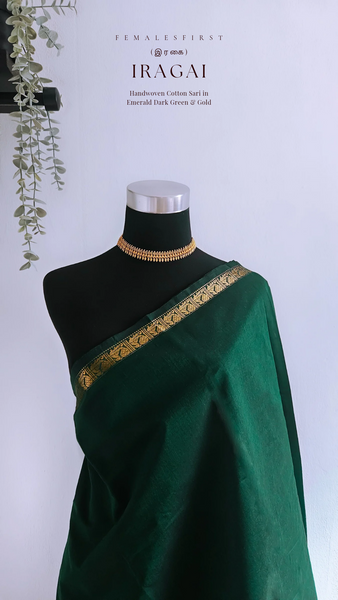 IRAGAI - Large border South Cotton Temple Sari in Dark Green & Gold